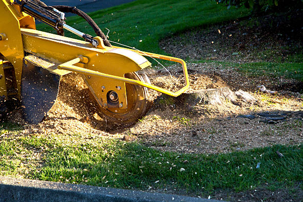 Artificial Turf Installation in Spring City, UT